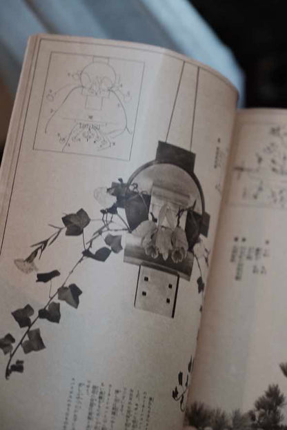 ($120)日本1935年婦人俱樂部附錄 插花展示