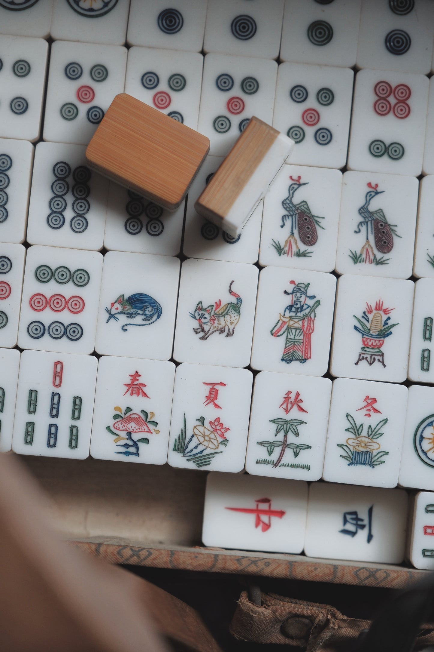Vintage hand-carved Mahjong tiles (1970s)