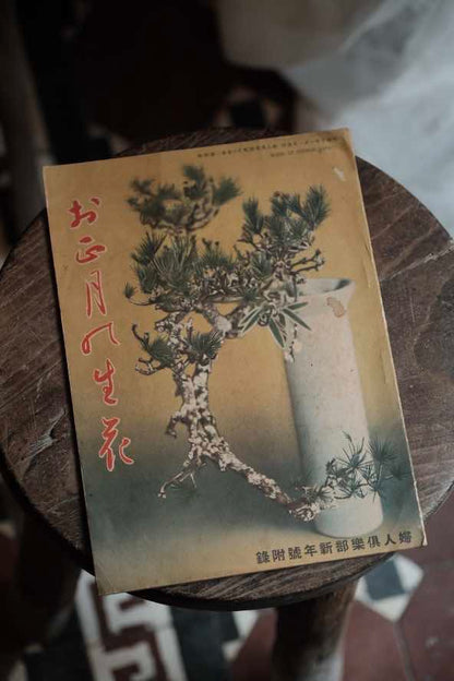 ($120)日本1935年婦人俱樂部附錄 插花展示