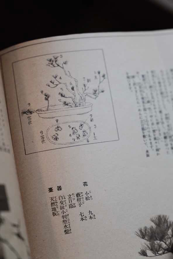 ($120)日本1935年婦人俱樂部附錄 插花展示