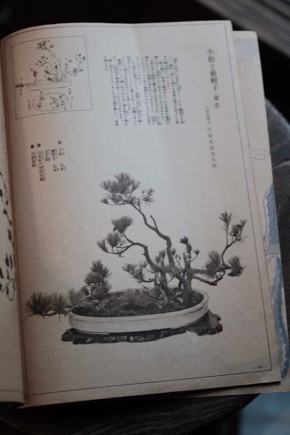 ($120)日本1935年婦人俱樂部附錄 插花展示